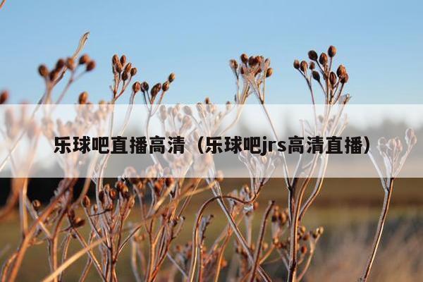 乐球吧直播高清（乐球吧jrs高清直播）