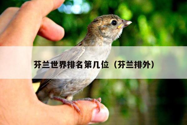 芬兰世界排名第几位（芬兰排外）