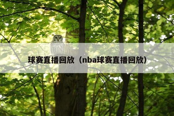 球赛直播回放（nba球赛直播回放）