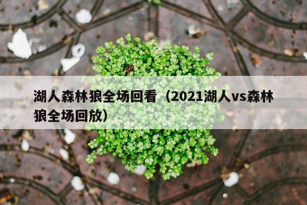 湖人森林狼全场回看（2021湖人vs森林狼全场回放）