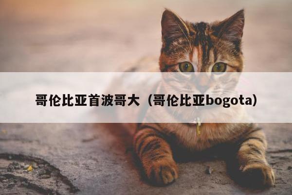 哥伦比亚首波哥大（哥伦比亚bogota）