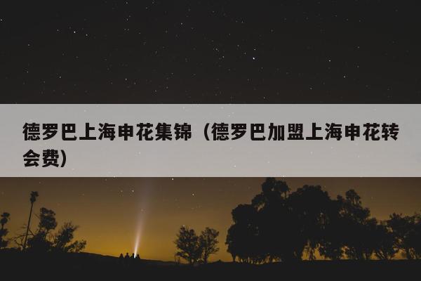 德罗巴上海申花集锦（德罗巴加盟上海申花转会费）