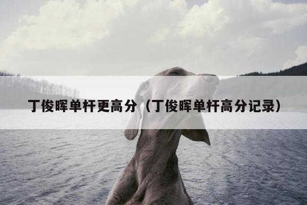 丁俊晖单杆更高分（丁俊晖单杆高分记录）