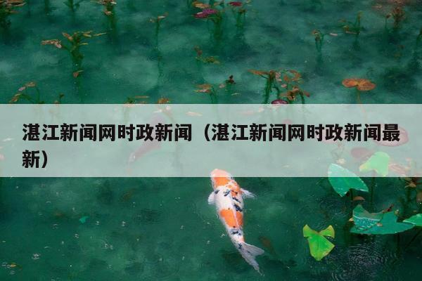 湛江新闻网时政新闻（湛江新闻网时政新闻最新）