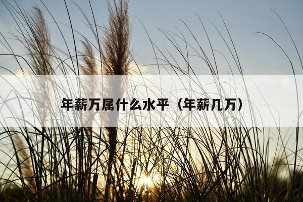 年薪万属什么水平（年薪几万）