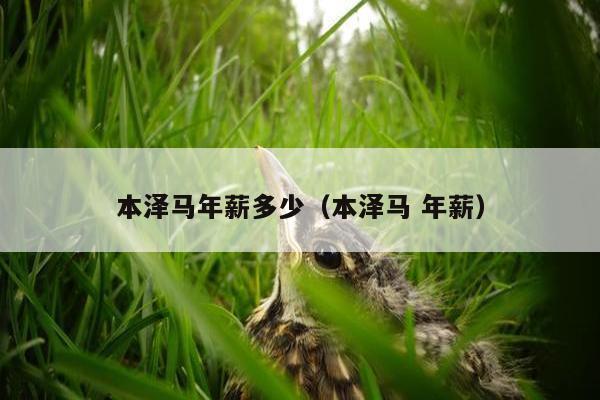 本泽马年薪多少（本泽马 年薪）