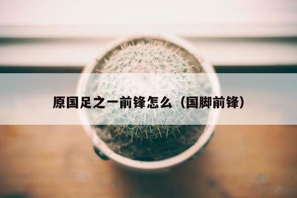 原国足之一前锋怎么（国脚前锋）