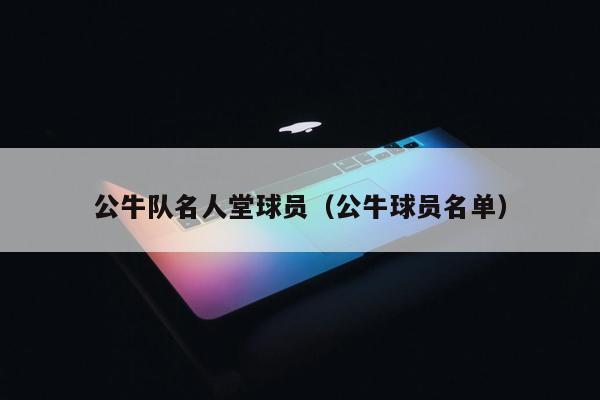 公牛队名人堂球员（公牛球员名单）