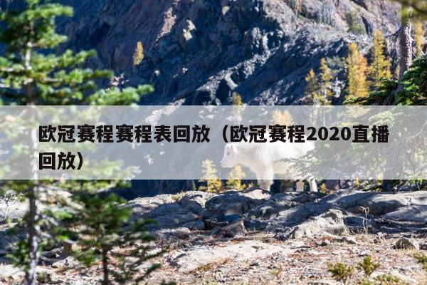 欧冠赛程赛程表回放（欧冠赛程2020直播回放）