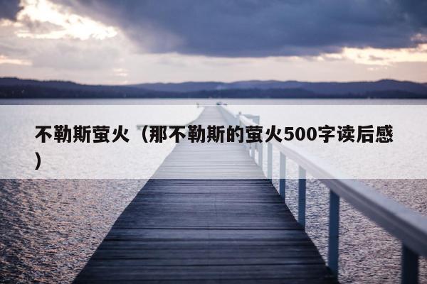 不勒斯萤火（那不勒斯的萤火500字读后感）