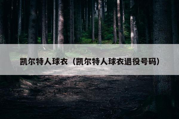 凯尔特人球衣（凯尔特人球衣退役号码）