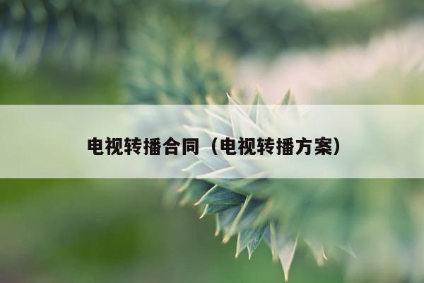 电视转播合同（电视转播方案）