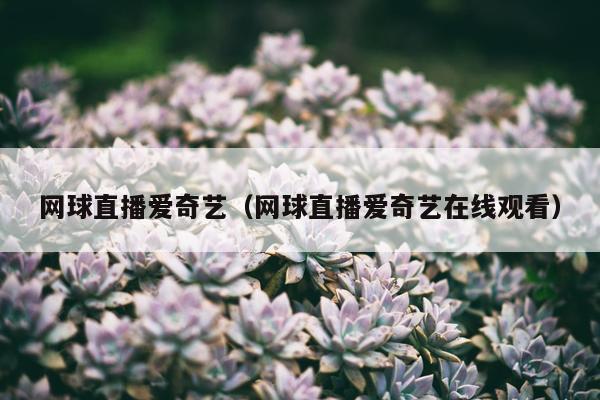 网球直播爱奇艺（网球直播爱奇艺在线观看）