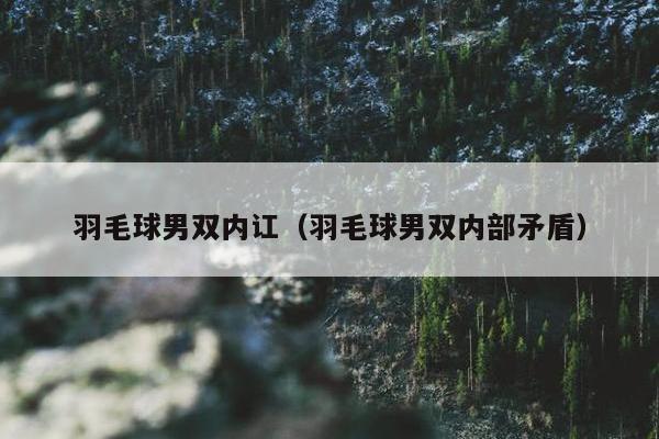 羽毛球男双内讧（羽毛球男双内部矛盾）