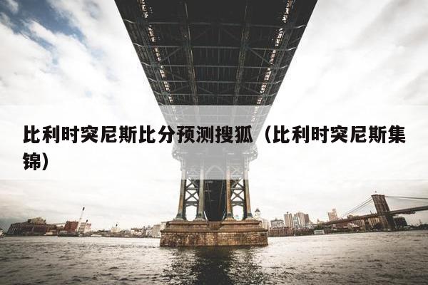 比利时突尼斯比分预测搜狐（比利时突尼斯集锦）