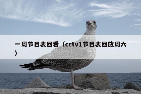 一周节目表回看（cctv1节目表回放周六）