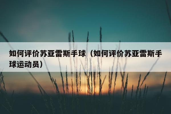 如何评价苏亚雷斯手球（如何评价苏亚雷斯手球运动员）