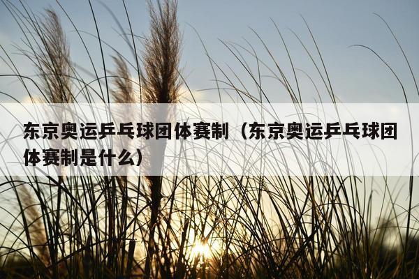 东京奥运乒乓球团体赛制（东京奥运乒乓球团体赛制是什么）