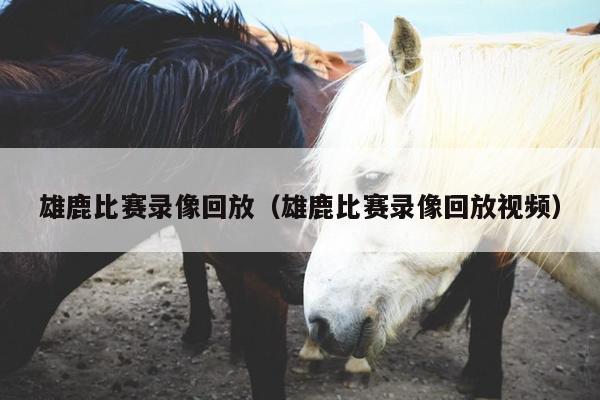 雄鹿比赛录像回放（雄鹿比赛录像回放视频）