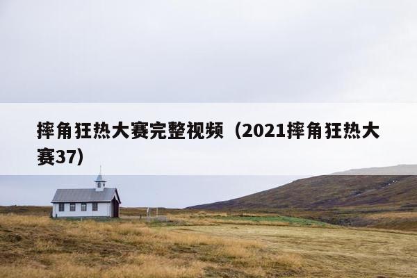 摔角狂热大赛完整视频（2021摔角狂热大赛37）