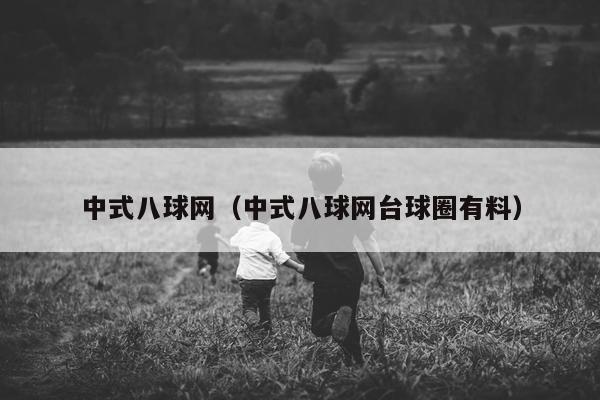 中式八球网（中式八球网台球圈有料）