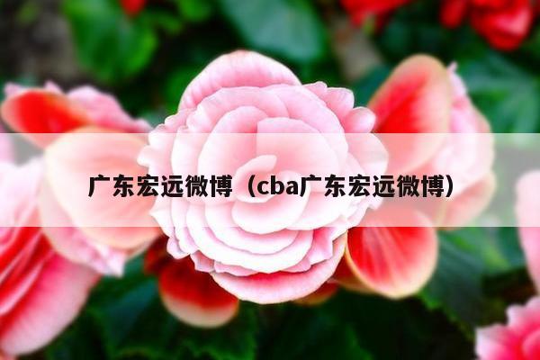 广东宏远微博（cba广东宏远微博）