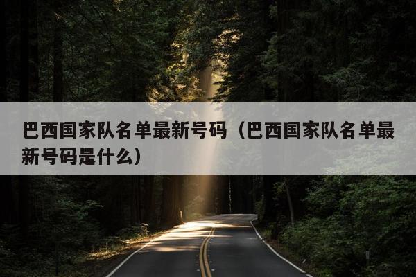 巴西国家队名单最新号码（巴西国家队名单最新号码是什么）