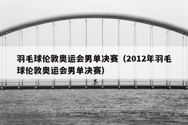 羽毛球伦敦奥运会男单决赛（2012年羽毛球伦敦奥运会男单决赛）