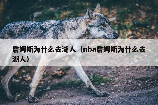 詹姆斯为什么去湖人（nba詹姆斯为什么去湖人）