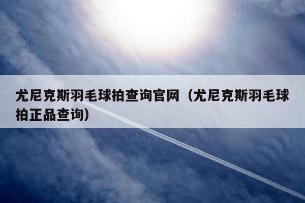 尤尼克斯羽毛球拍查询官网（尤尼克斯羽毛球拍正品查询）