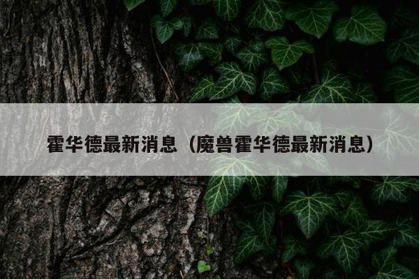 霍华德最新消息（魔兽霍华德最新消息）