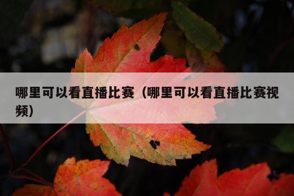 哪里可以看直播比赛（哪里可以看直播比赛视频）