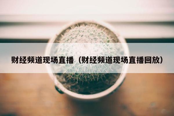 财经频道现场直播（财经频道现场直播回放）