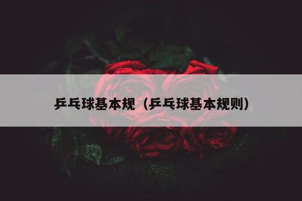 乒乓球基本规（乒乓球基本规则）