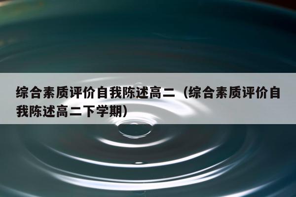 综合素质评价自我陈述高二（综合素质评价自我陈述高二下学期）