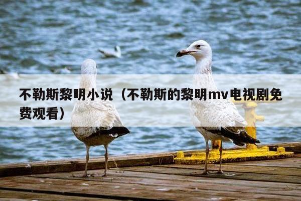 不勒斯黎明小说（不勒斯的黎明mv电视剧免费观看）