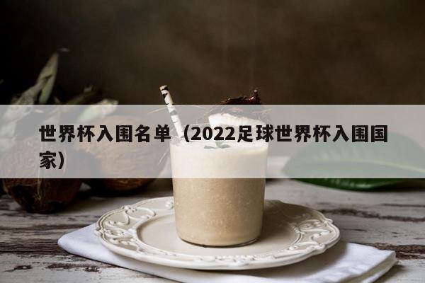 世界杯入围名单（2022足球世界杯入围国家）