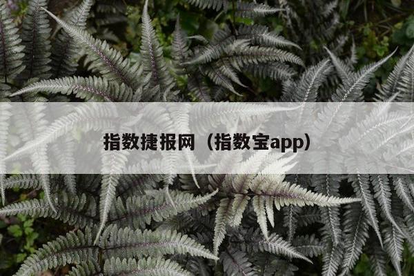 指数捷报网（指数宝app）