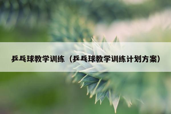 乒乓球教学训练（乒乓球教学训练计划方案）