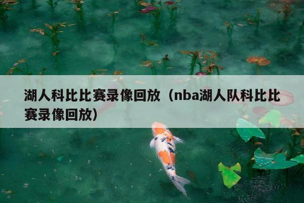 湖人科比比赛录像回放（nba湖人队科比比赛录像回放）