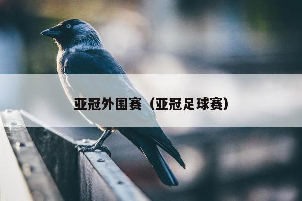 亚冠外围赛（亚冠足球赛）