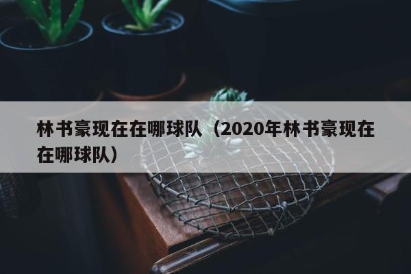 林书豪现在在哪球队（2020年林书豪现在在哪球队）