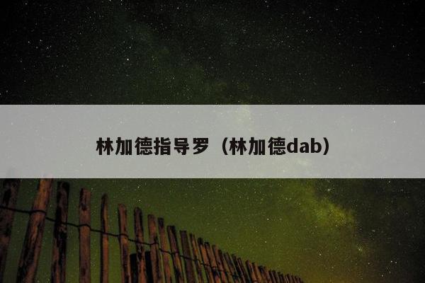 林加德指导罗（林加德dab）