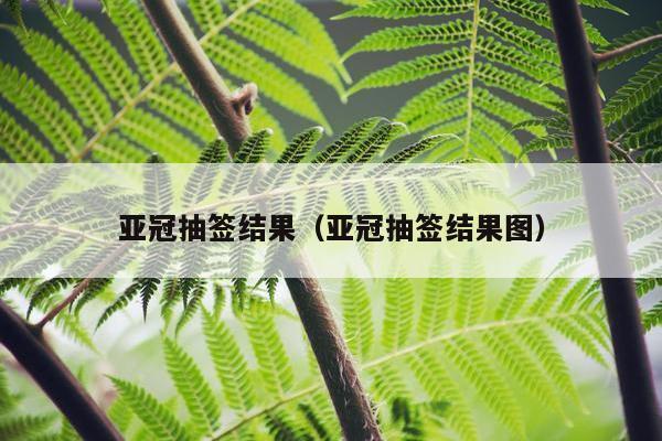 亚冠抽签结果（亚冠抽签结果图）