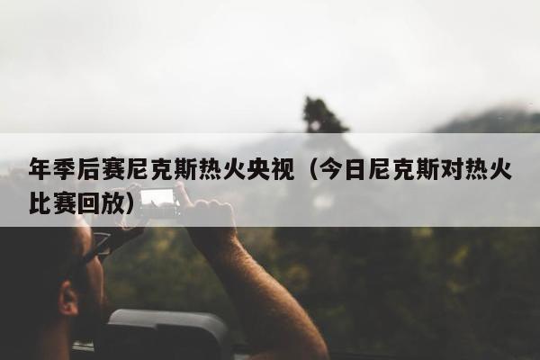 年季后赛尼克斯热火央视（今日尼克斯对热火比赛回放）