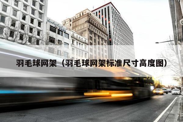 羽毛球网架（羽毛球网架标准尺寸高度图）