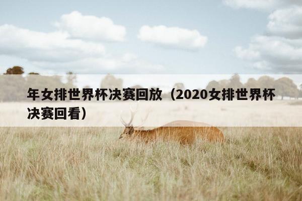 年女排世界杯决赛回放（2020女排世界杯决赛回看）