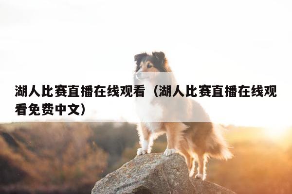 湖人比赛直播在线观看（湖人比赛直播在线观看免费中文）