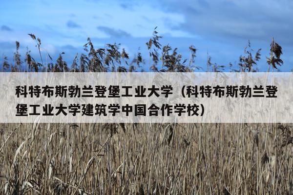 科特布斯勃兰登堡工业大学（科特布斯勃兰登堡工业大学建筑学中国合作学校）