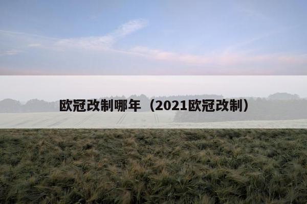 欧冠改制哪年（2021欧冠改制）